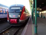 Elektrická trakce na železničním přechodu Děčín – Bad Schandau