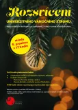 rozsviceni_stromu_19343.png rozsviceni_stromu_19343.png
