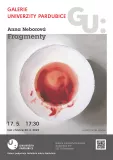 Galerie Univerzity: Anna Neborová - Fragmenty